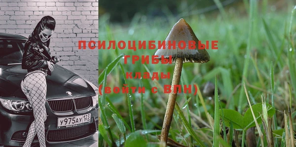 сатива Алзамай