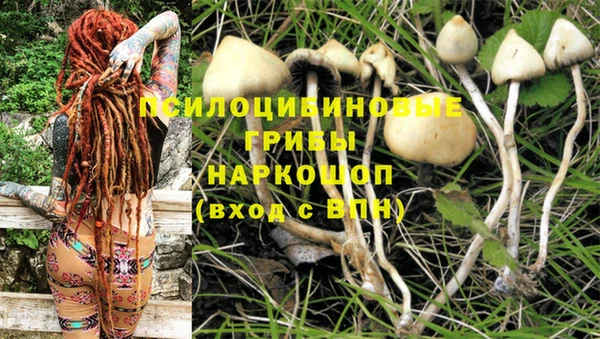 метамфетамин Алексин